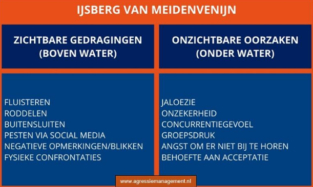 ijsberg-van-meidenvenijn